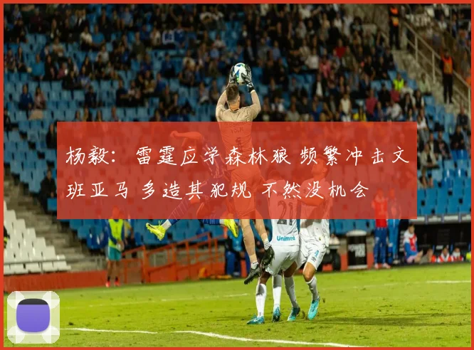 杨毅：雷霆应学森林狼 频繁冲击文班亚马 多造其犯规 不然没机会