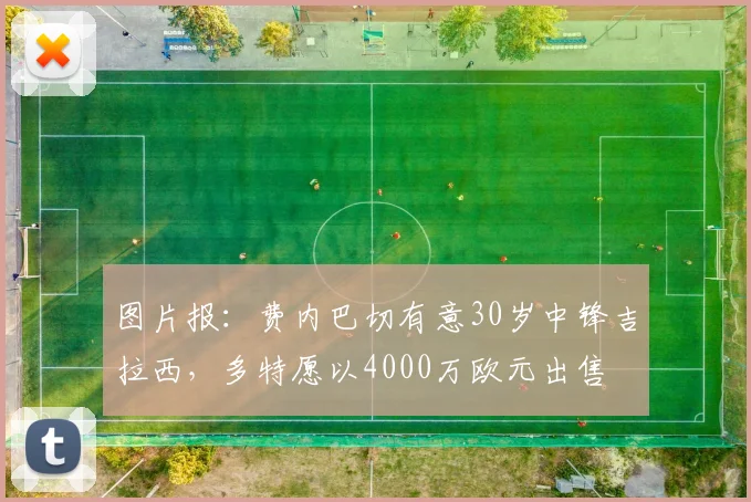 图片报：费内巴切有意30岁中锋吉拉西，多特愿以4000万欧元出售